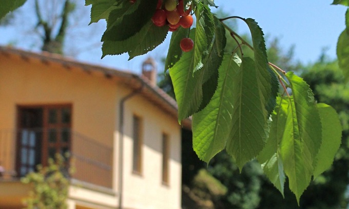 Castiglione in Teverina Villa | Villa Bagnoregio - Charme Holidays