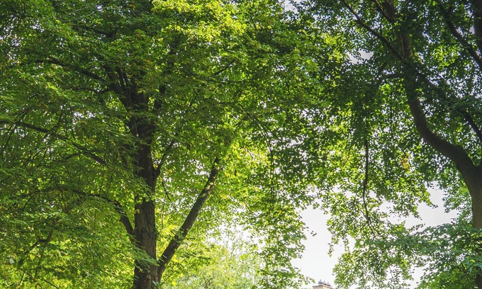 Bergen Villa | Villa Blooming met Privé bos in Bergen
