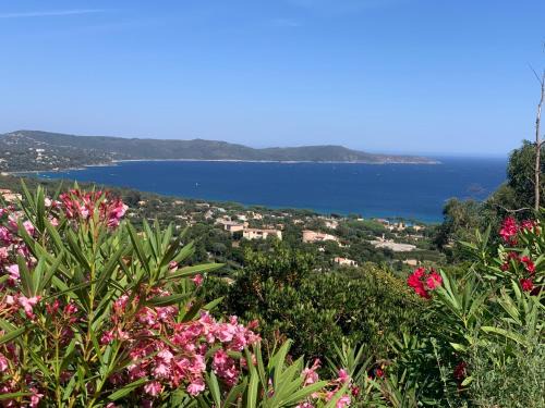 Cavalaire-sur-Mer Bed & Breakfast | Villa Cacharelle Vue Mer Piscine privative