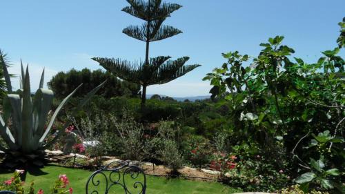 Cavaliere Apartment | Villa Carpe Diem