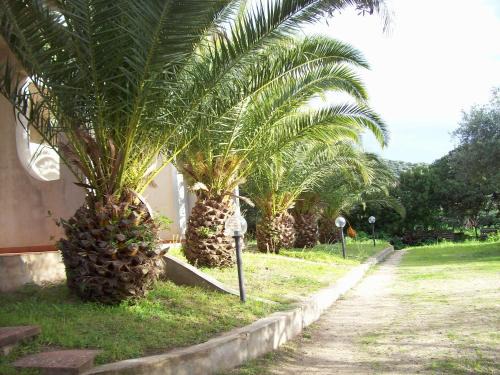 Badesi House | Villa del Palmeto