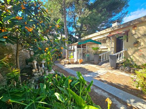La Franqui House | Villa des cèdres La Franqui