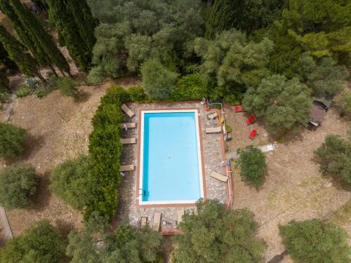 Campiglia Marittima Apartment | Villa I Tigli
