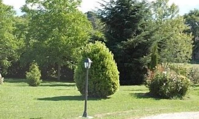 Bagnoregio Villa | Villa In The Country With Pool