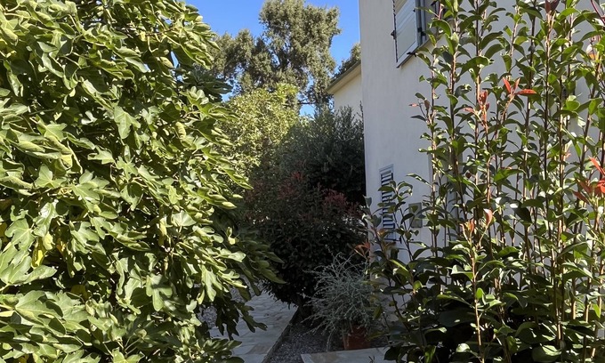 Erbalunga Villa | Villa in the heart of Erbalunga perfect for your holidays!