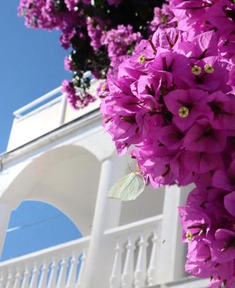 Iz Apartment | Villa Maris