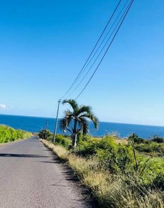 Piton Saint-Leu Apartment | Villa Mia