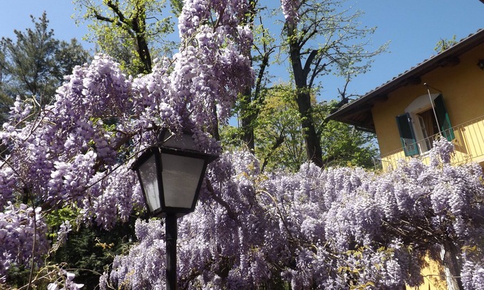 Piossasco Bed & Breakfast | Villa Mirano B&B