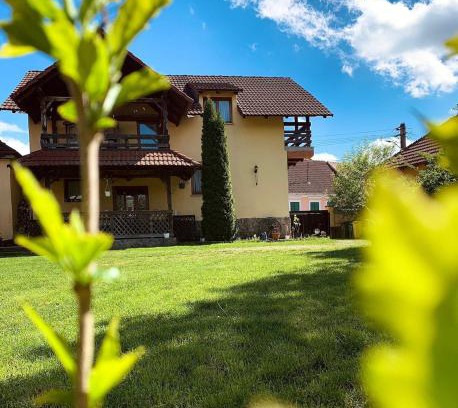 Carta Villa | Villa Rusu