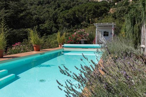 Marciana Apartment | Villa Shanti Yoga & Meditation