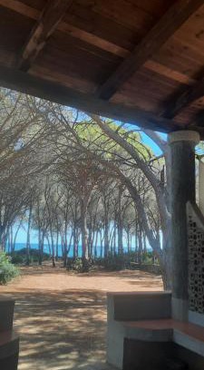 Matta 'e Peru House | VILLA SULLA SPIAGGIA