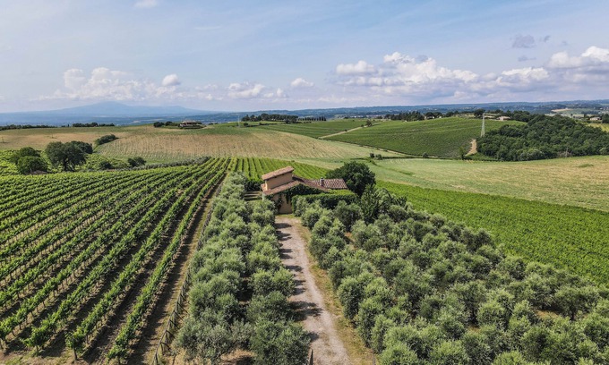Montecchio Villa | Villa surrounded by vineyards with private pool near Orvieto