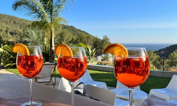 Carqueiranne Villa | Villa Terre de soleil - sea view