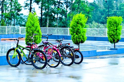 Chikkamagaluru House | Villa Vaasa Luxury Homestay