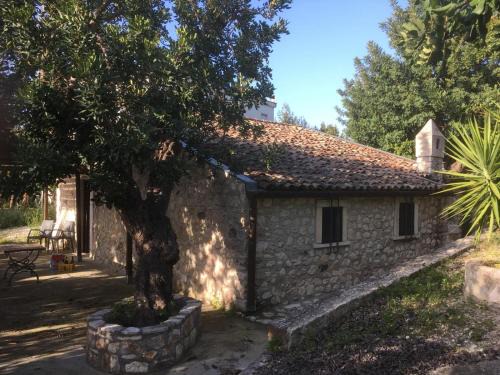 Vico del Gargano House | Villetta Zazza