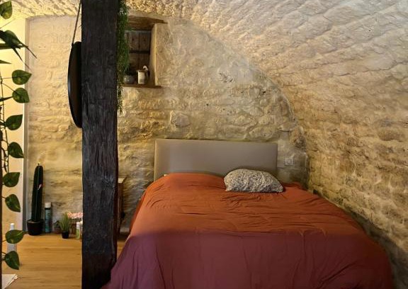 Castelnau-Montratier-Sainte-Alauzie Apartment | Voute des anges type loft sans cloison