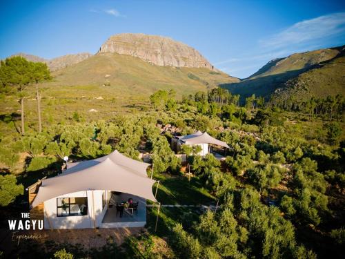 Paarl Hotel | Wagyu Mountain Lodge