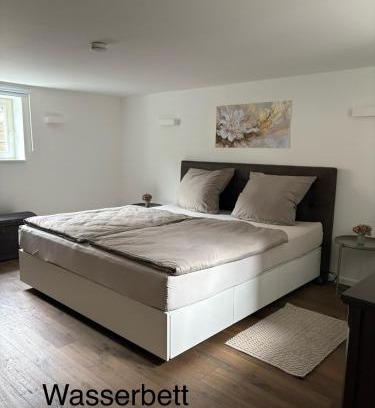 Ramersdorf Apartment | Waldblick am Rhein - Natur & Citynah -