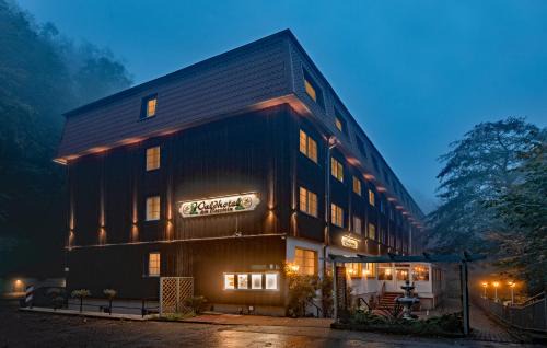 Ilsenburg Hotel | Waldhotel Harz Ilsenburg