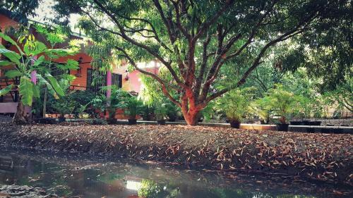 Amphawa House | Warakorn Baansuan Amphawa