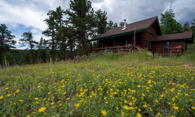 Crystal Lake Cabin | Warm Woodland Getaway with Land