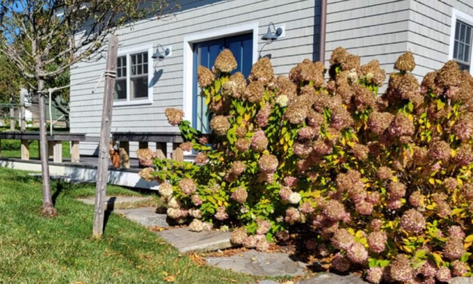 Tenants Harbor Cottage | Water street Cottage - Over looking the Harbor