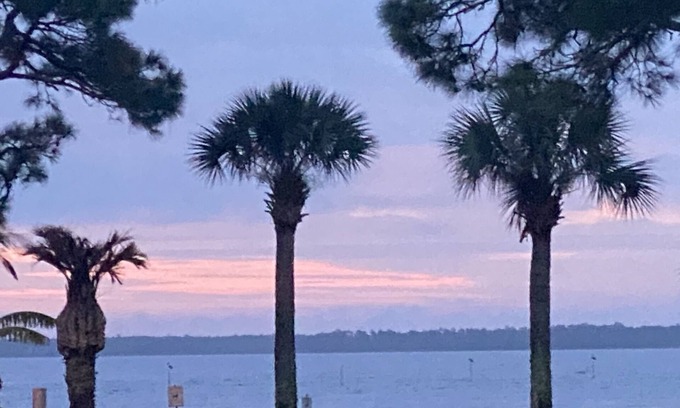 Panacea Condo | Waterfront on Ochlockonee Bay-Renovated condo & sparking pool