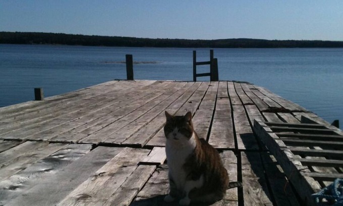 Gouldsboro Cottage | Watersedge Cottage on Picturesque Maine Coast