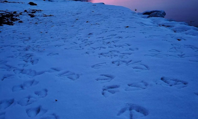 Cressy House | Welcome to Blue County House!