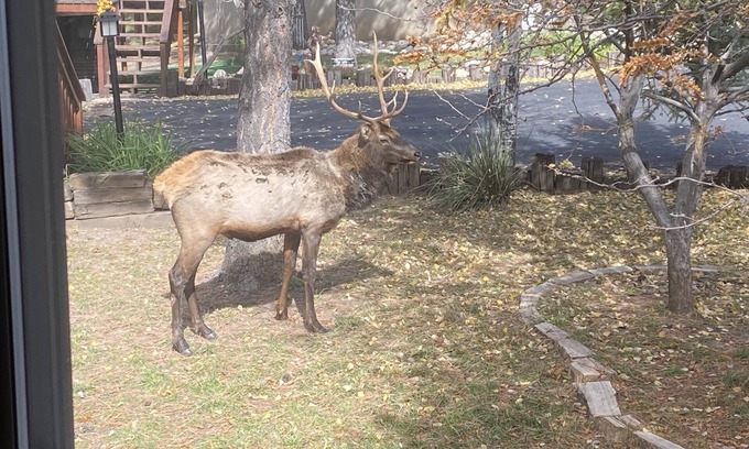 Ruidoso Condo | Welcome to the Sierra Blanca Mountains!