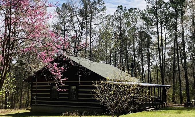 Bath Cabin | Well maintained cabin bordering national forest, close to Augusta, GA - -Masters