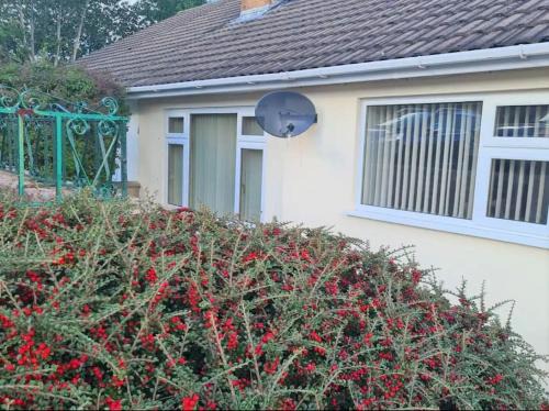 Holywell House | Wenford Dorma Bungalow