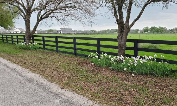 Georgetown House | West Point on San Gabriel