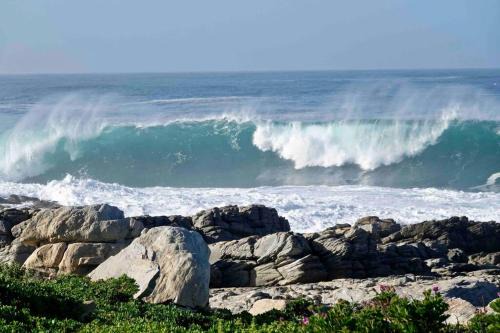Hermanus House | Whales & Waves