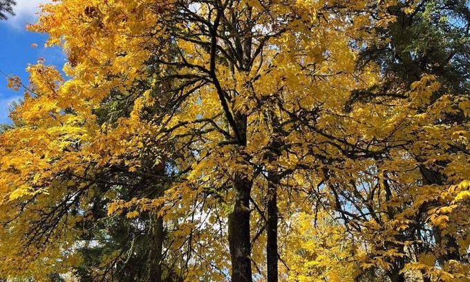 Union Hill-Novelty Hill Ski Chalet | Whispering Pines Farmhouse