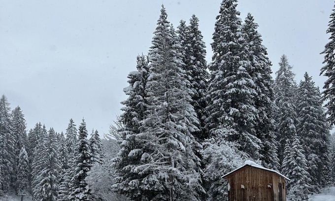 Cles Apartment | WI-FI pets allowed, 10 min from Lake Tovellago santa Giustina