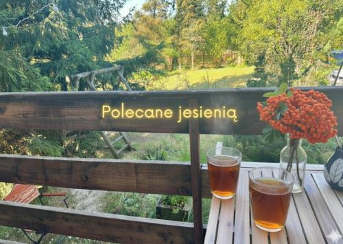 Podjazy House | Widny Jaś zaprasza z psem nad jezioro na Kaszubach