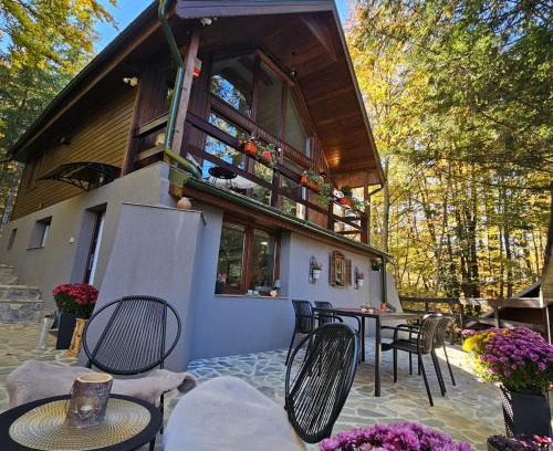 Sinaia Ski Chalet | Wild House