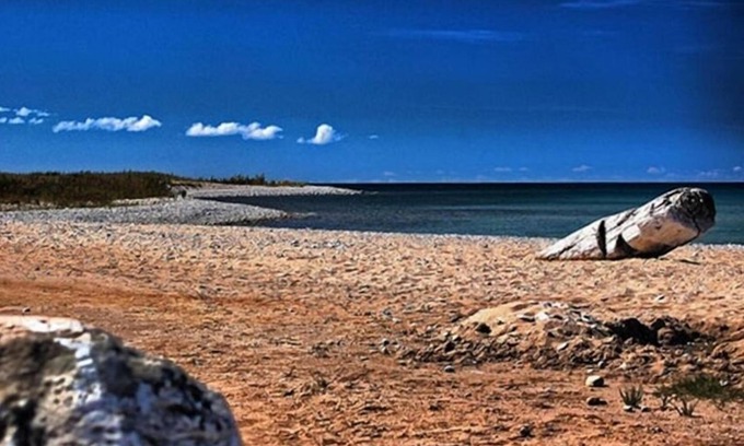 Harbor Springs Cottage | Wilderness Setting Near Beautiful Lake Michigan