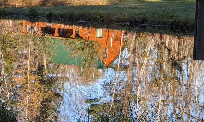 Iola Cabin | Wildlife Cabin! Spring-fed Ponds! Apple Orchard!