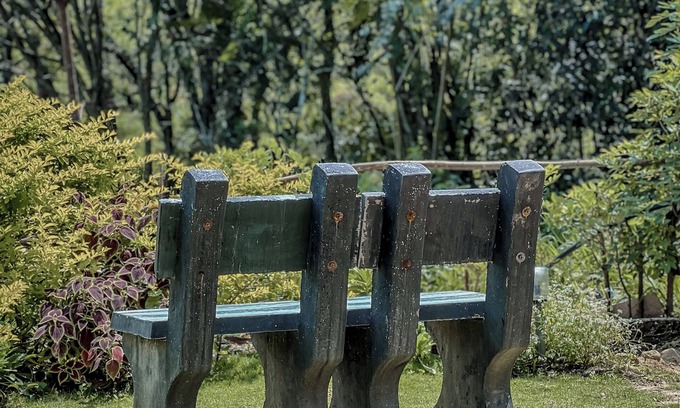 Ella Cottage | Willow Cottage Ella