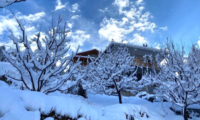 Manali Cottage | Willow Way - A Dream Wooden Cottage in Himalayas