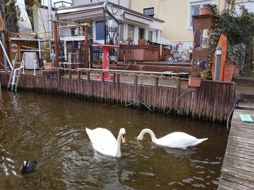Zeuthen Apartment | Wohnung im Haus am See von Berlin