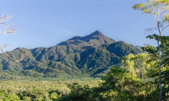 Cow Bay House | Wompoo Eco Retreat - Mangosteen Bungalow with views