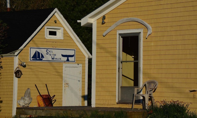 Victoria Subd. A Other | Wonderful ocean view, private pebble beach, great hospitality