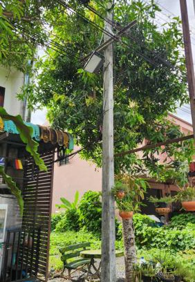 Trang House | Yenta4fafad