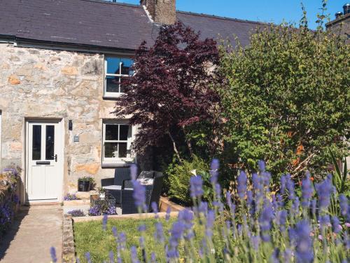 Trefor House | Ynata