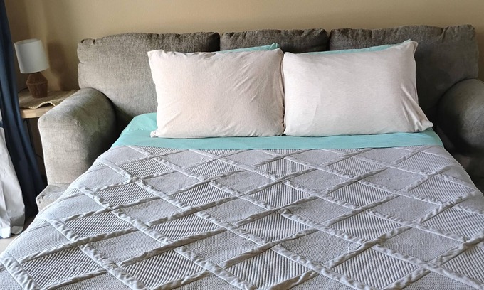 Keaukaha Apartment | Yonegan Plumeria Hilo Hotel - Humuhumunukunukuapua'a (Trigger Fish)