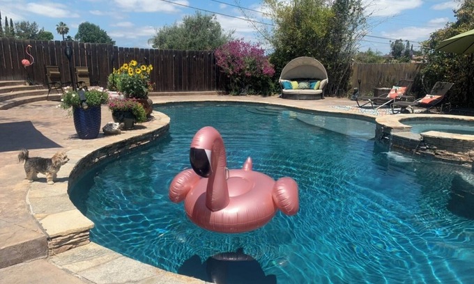 La Mesa House | Your own Suburban Oasis!