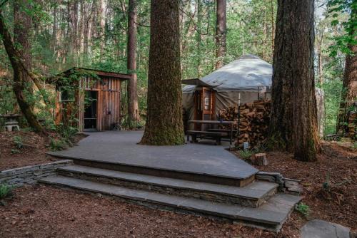 Nevada City Other | Your private Yurt in the woods - Nevada City